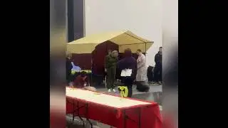 Сравнение на лучшего кобеля в промежуточном классе породы Пекинес