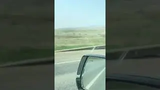 Ещё одни танки