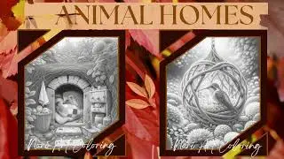 Animal Homes #noriartcoloring