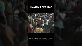 #shorts LOFT Mamaia 1983