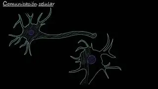 Comunicación celular | Khan Academy en Español