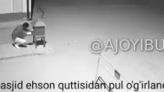 Шу хам одамми