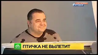 ЛЕНФИЛЬМ, новостной выпуск