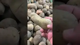 В профиле все про отопление и водоснабжение