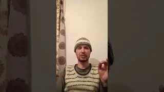 Пчёлы.