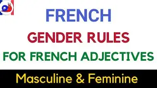 French Adjectives Gender rules - Masculine and Feminine