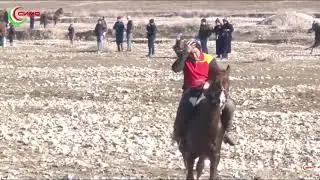 Афросиёб 🏇 чемпиони ш Панчакент. 2022