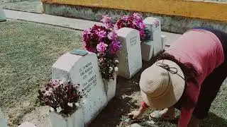 micro corto