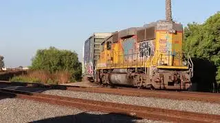 Union Pacific Camarillo run 8 16 24