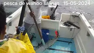 DON LUCHO PESCANDO WAHOO EN SALINAS 15-05-2024