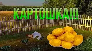 КОГДА ПРИЕХАЛ К БАБУШКЕ BLOCKBUSTER!!!