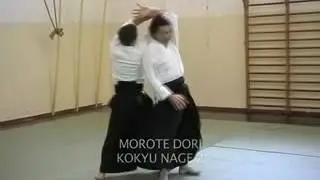 Takemusu Aikido Training