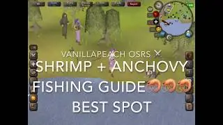 OSRS Beginner Fishing Guide Shrimp and Anchovy Best Spot