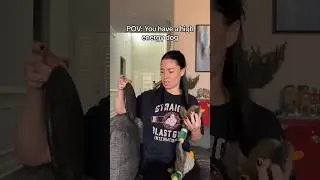 High energy dog problems