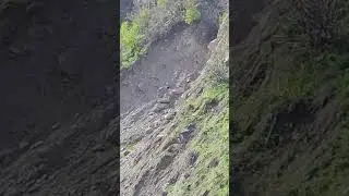 Камароб 18, 04,24  Бузи куҳиро бубинед.🐐🐐🐐