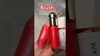 Blush lip tint and lip gloss for indian skin tone #blush #blushblushlove #blushchallenge #makeup