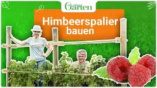 Bauanleitung: Himbeerspalier bauen