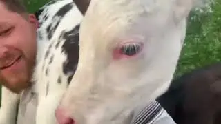 У нас пополнение!!!