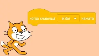 «Когда клавиша enter нажата» в Scratch — как сделать