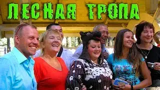 Сказочная тропа в лесу