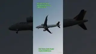 Трансфер из Аэропорта Анталии в отель