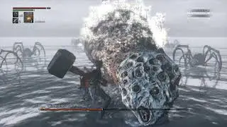 Rom ,The Vacous Spider ( Boss Fight )