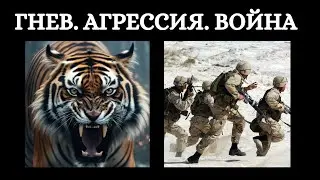 Гнев и агрессия у человека. Истоки войны