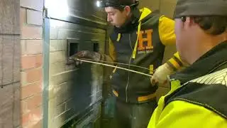 Курсы Печников. Высшая Школа Ремёсел г. Москва
