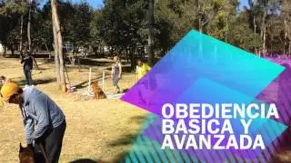 Club Canino CALMECAC