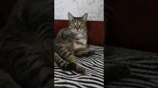 27 июля. А подскажите, пожалуйста ...