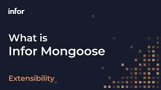 What is Infor Mongoose