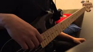 Sometimes You're The Hammer, Sometimes You're The Nail - ADTR (Bass Cover)
