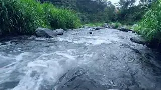 Live Relaxing Water Sounds – Tranquil Nature Ambience for Deep Sleep & Stress Relief