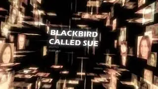 Blackmagic Fusion/Davinci Resolve - auto flying camera intros (tutorial idea?)