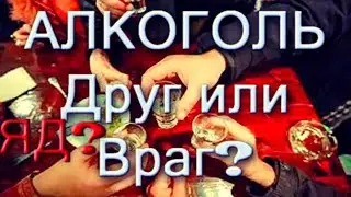Алкоголь. ЯД или Лекарство?
