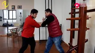 形意拳钻拳练中节与咏春拳哪一招有相似之处？武术教练动作演示