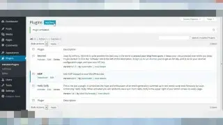 Setting AMP on wordpress make your wordpress amp ready