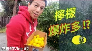 好多的檸檬，我們來做檸檬醬吧！ | Vlog2_2019