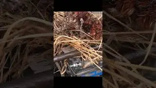 Fire Starting Survival Hack