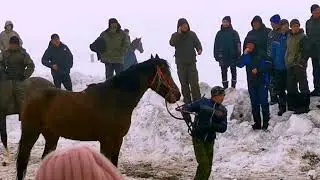 Скачки П.Бреды 2023