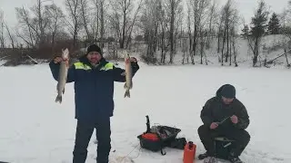 Неожиданный клев Щуки или удачный день для жерлиц. 18.12.2020.
