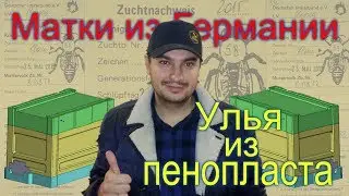 Матки из Германии Улья из пенопласта - Денис Фадеев