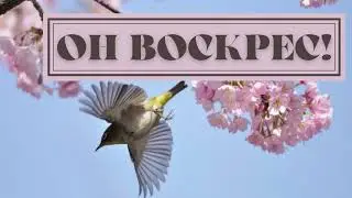 Он воскрес! - красивая пасхальная песня
