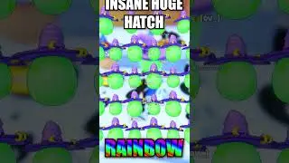 ANOTHER INSANE HATCH!