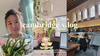 🌷 happy productive day in the life at cambridge 🌷 law diaries ⚖️📚