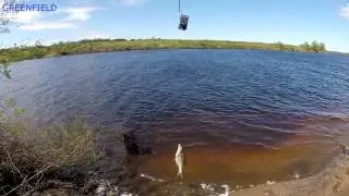 РЫБАЛКА НА ЛУГЕ