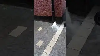 Сильный дождь 03.08.2024