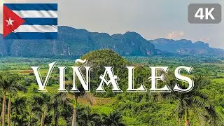 VIÑALES | CUBA | 4K