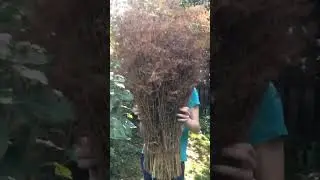 НА КАНАЛЕ 1000 ПОДПИСЧИКОВ