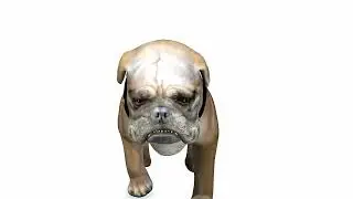 https://rdam3d.gumroad.com/l/DOWNLOAD-BULLDOG-3D-MODEL